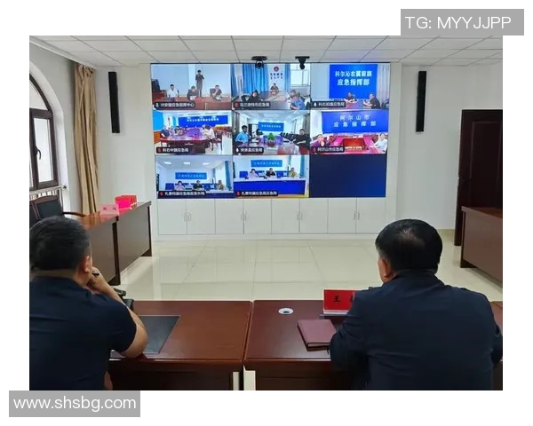 欧洲杯赛事安全管理与突发事件应对策略研究与实践分析